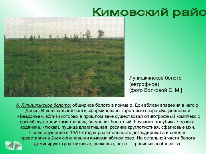 Кимовский район 6. Лупишкинское болото: обширное болото в пойме р. Дон