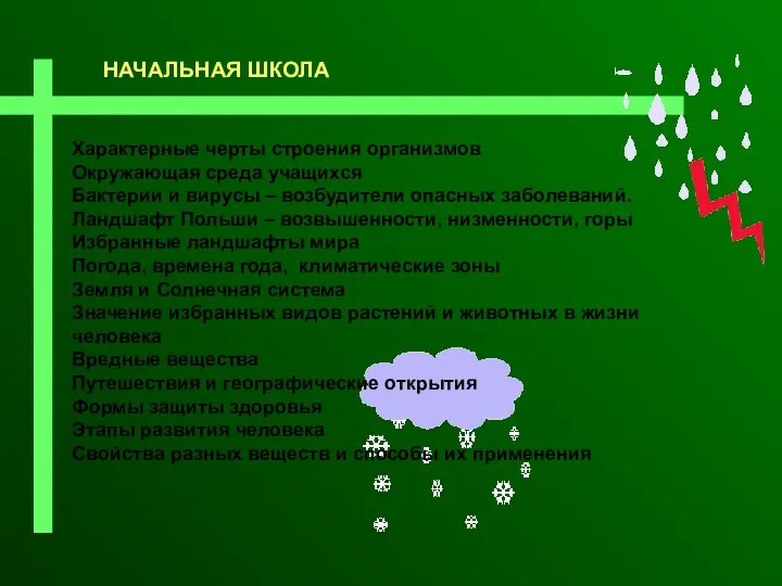 НАЧАЛЬНАЯ ШКОЛА Характерные черты строения организмов Окружающая среда учащихся Бактерии и