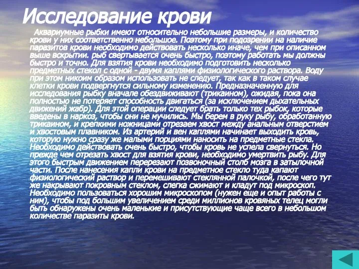 Исследование крови Аквариумные рыбки имеют относительно небольшие размеры, и количество крови