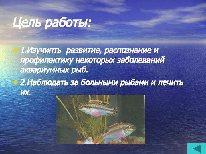 Цель работы: 1.Изучипть развитие, распознание и профилактику некоторых заболеваний аквариумных рыб.