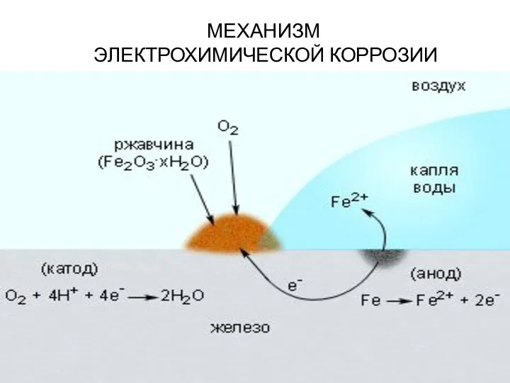 МЕХАНИЗМ ЭЛЕКТРОХИМИЧЕСКОЙ КОРРОЗИИ