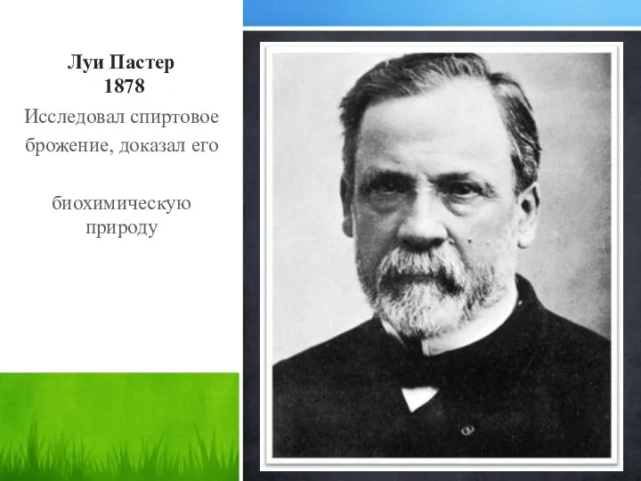 Луи Пастер 1878 Исследовал спиртовое брожение, доказал его биохимическую природу