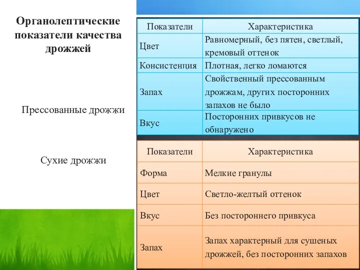 Органолептические показатели качества дрожжей Прессованные дрожжи Сухие дрожжи