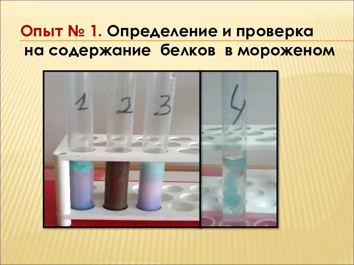 Опыт № 1. Определение и проверка на содержание белков в мороженом