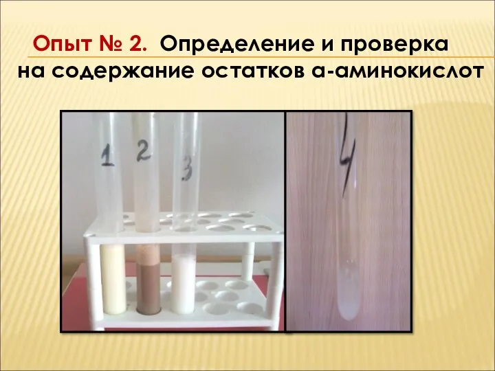 Опыт № 2. Определение и проверка на содержание остатков α-аминокислот