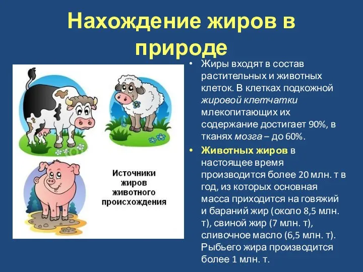 Нахождение жиров в природе Жиры входят в состав растительных и животных