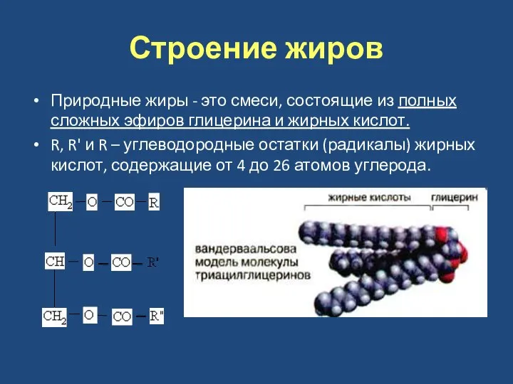 Строение жиров Природные жиры - это смеси, состоящие из полных сложных