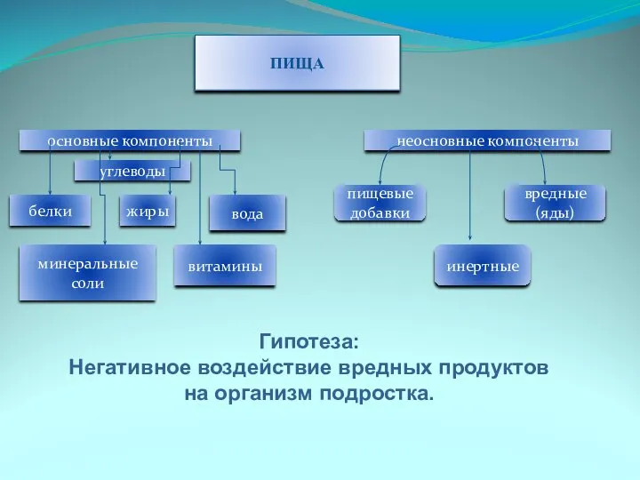 ПИЩА основные компоненты неосновные компоненты белки жиры вода углеводы витамины минеральные