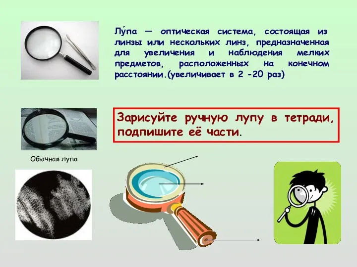 Обычная лупа Лу́па — оптическая система, состоящая из линзы или нескольких