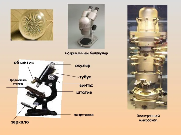 окуляр тубус штатив подставка объектив зеркало Предметный столик винты Современный бинокуляр Электронный микроскоп