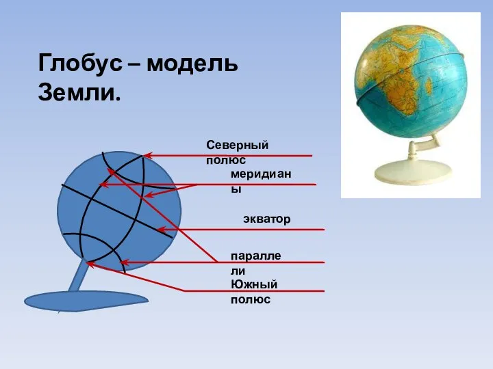 Северный полюс меридианы экватор параллели Южный полюс Глобус – модель Земли.