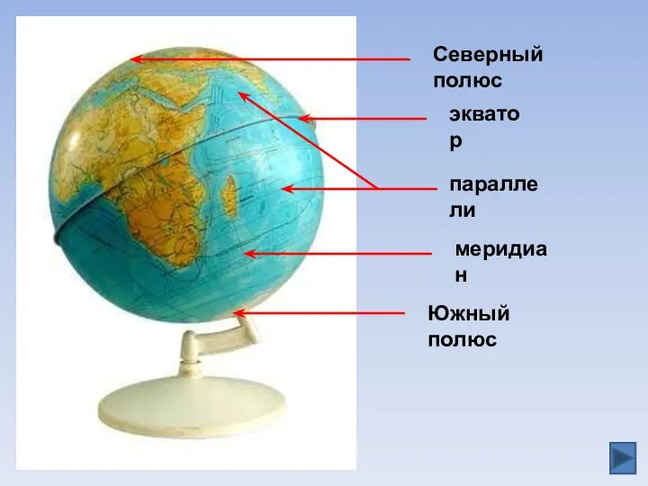 Северный полюс экватор параллели меридиан Южный полюс