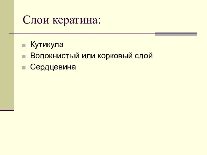 Кутикула Волокнистый или корковый слой Сердцевина Слои кератина: