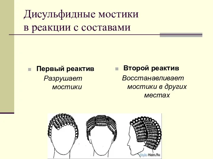 Дисульфидные мостики в реакции с составами Первый реактив Разрушает мостики Второй