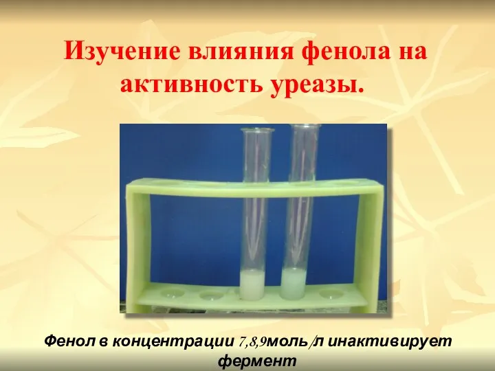 Изучение влияния фенола на активность уреазы. Фенол в концентрации 7,8,9моль/л инактивирует фермент