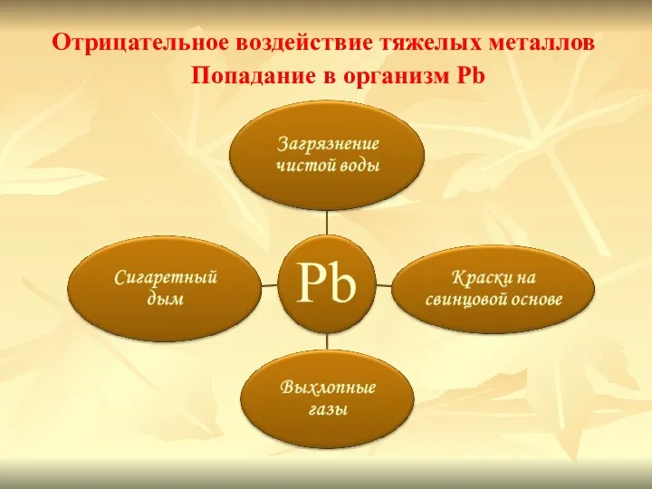 Отрицательное воздействие тяжелых металлов Попадание в организм Pb