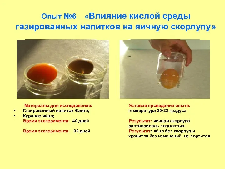 Опыт №6 «Влияние кислой среды газированных напитков на яичную скорлупу» Материалы