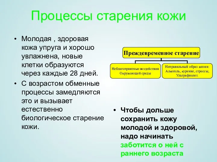 Процессы старения кожи Молодая , здоровая кожа упруга и хорошо увлажнена,