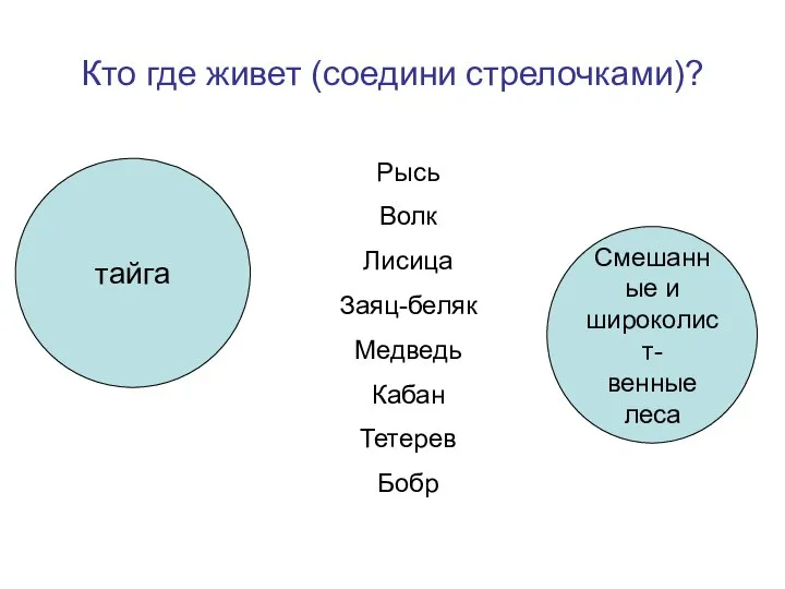 Кто где живет (соедини стрелочками)? тайга Смешанные и широколист- венные леса