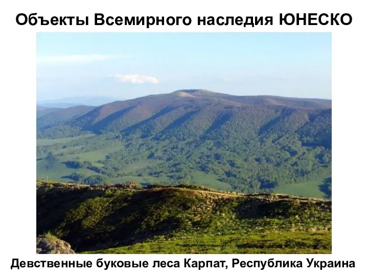 Девственные буковые леса Карпат, Республика Украина Объекты Всемирного наследия ЮНЕСКО