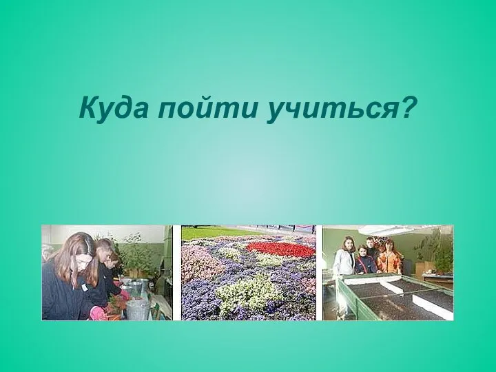 Куда пойти учиться?