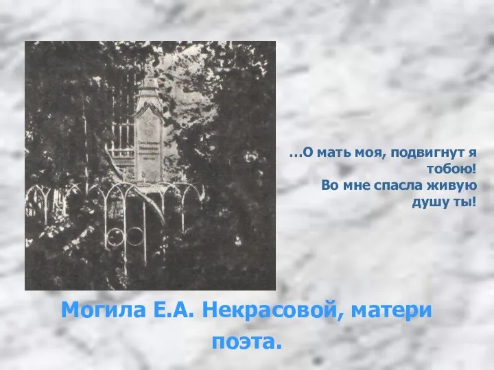 Могила Е.А. Некрасовой, матери поэта. …О мать моя, подвигнут я тобою!