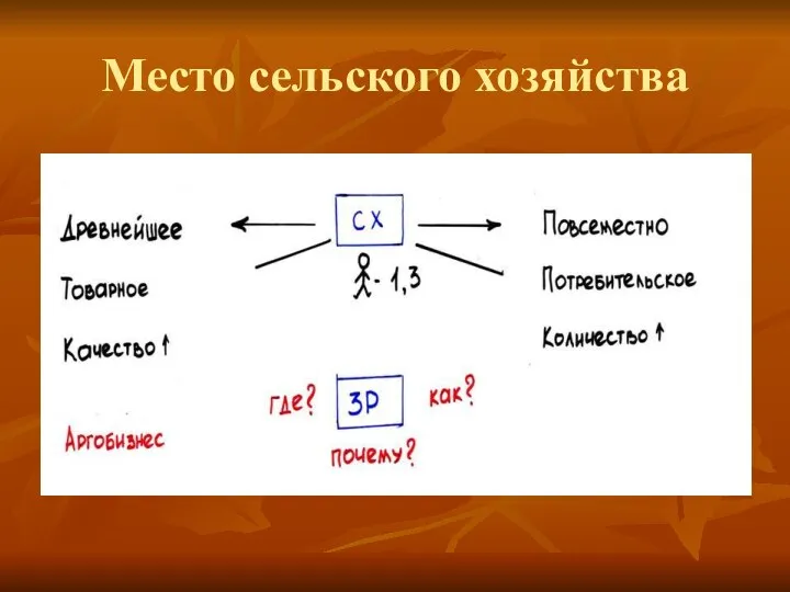 Место сельского хозяйства