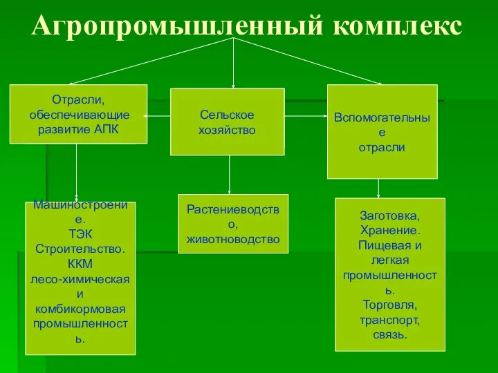 Агропромышленный комплекс Вспомогательные отрасли Отрасли, обеспечивающие развитие АПК Машиностроение. ТЭК Строительство.