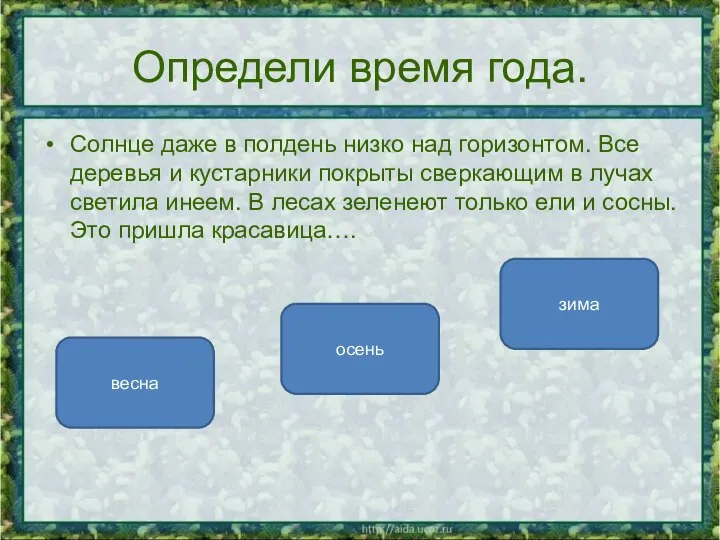 Определи время года. Солнце даже в полдень низко над горизонтом. Все