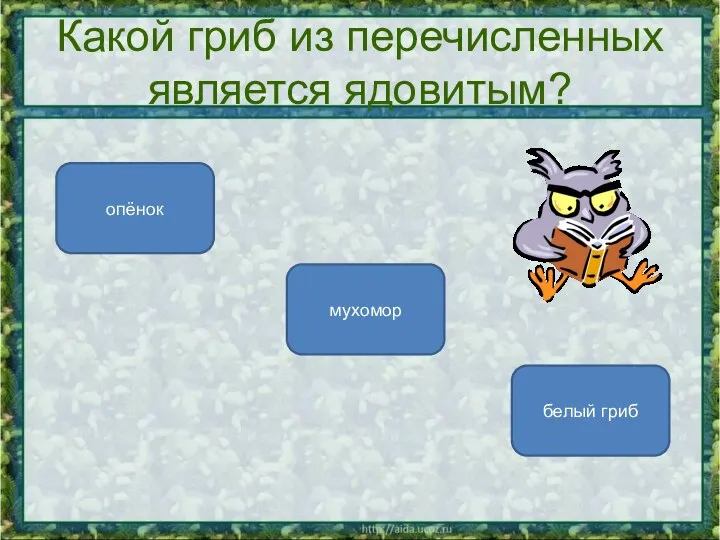 Какой гриб из перечисленных является ядовитым? мухомор опёнок белый гриб