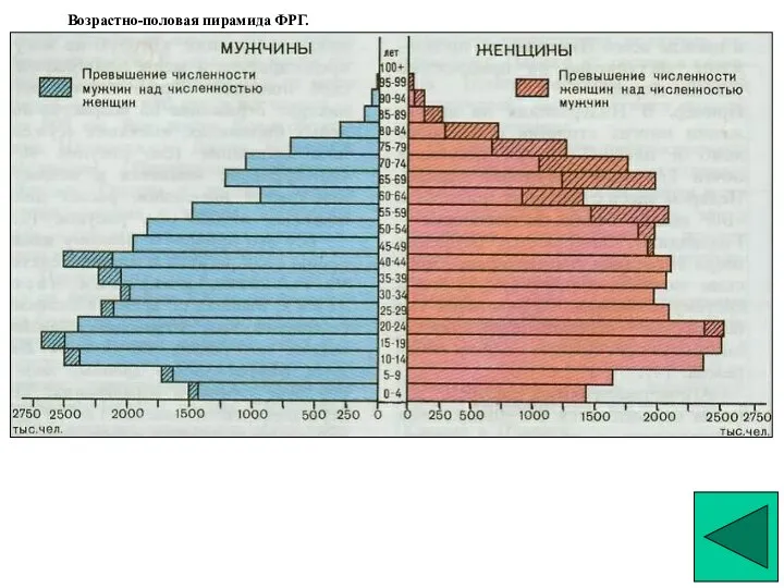 Возрастно-половая пирамида ФРГ. Возрастно-половая пирамида ФРГ.