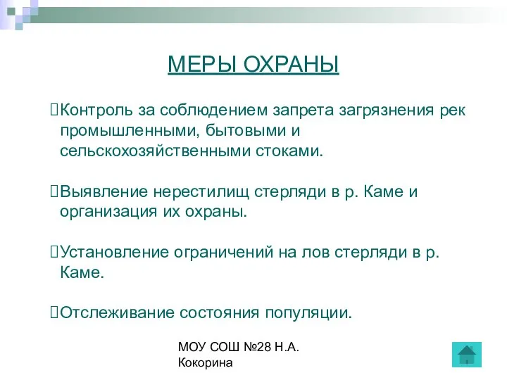 МОУ СОШ №28 Н.А.Кокорина МЕРЫ ОХРАНЫ Контроль за соблюдением запрета загрязнения