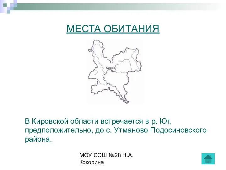 МОУ СОШ №28 Н.А.Кокорина МЕСТА ОБИТАНИЯ В Кировской области встречается в