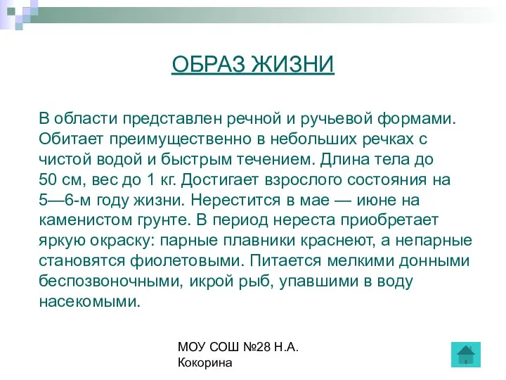 МОУ СОШ №28 Н.А.Кокорина ОБРАЗ ЖИЗНИ В области представлен речной и