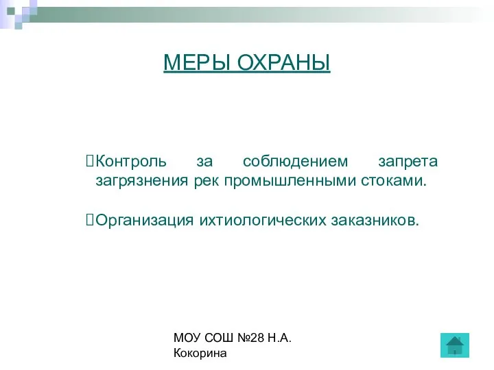 МОУ СОШ №28 Н.А.Кокорина МЕРЫ ОХРАНЫ Контроль за соблюдением запрета загрязнения