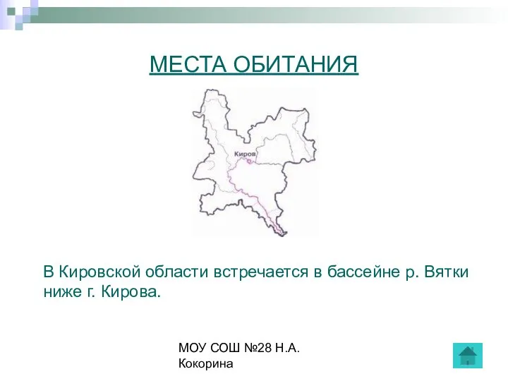 МОУ СОШ №28 Н.А.Кокорина МЕСТА ОБИТАНИЯ В Кировской области встречается в