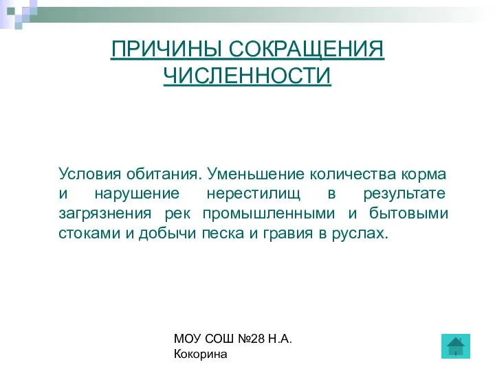 МОУ СОШ №28 Н.А.Кокорина ПРИЧИНЫ СОКРАЩЕНИЯ ЧИСЛЕННОСТИ Условия обитания. Уменьшение количества