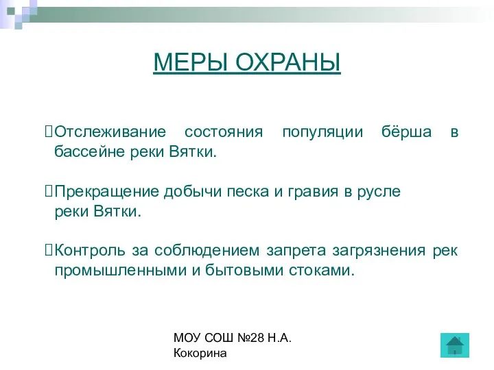 МОУ СОШ №28 Н.А.Кокорина МЕРЫ ОХРАНЫ Отслеживание состояния популяции бёрша в