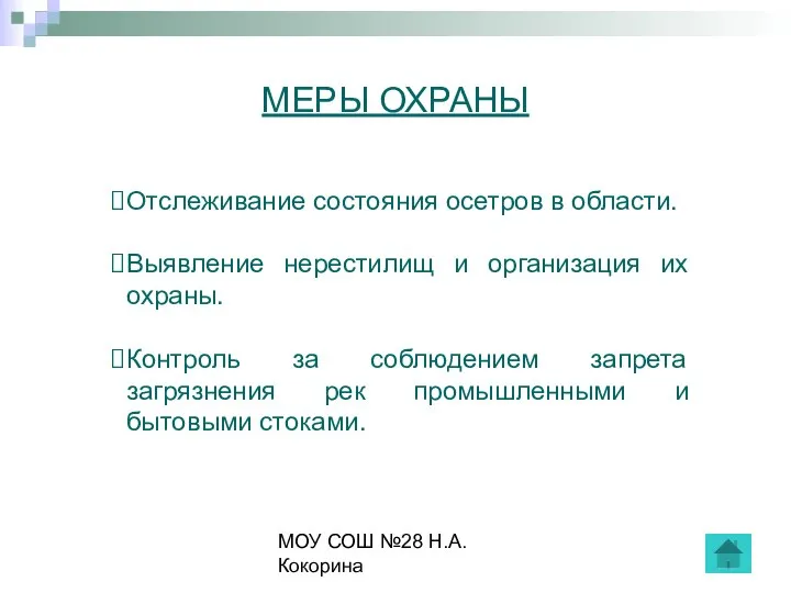 МОУ СОШ №28 Н.А.Кокорина МЕРЫ ОХРАНЫ Отслеживание состояния осетров в области.