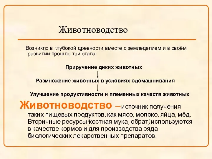 Животноводство Возникло в глубокой древности вместе с земледелием и в своём