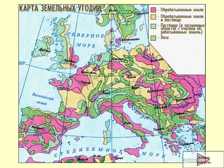 Лесные ресурсы Карта земельных угодий