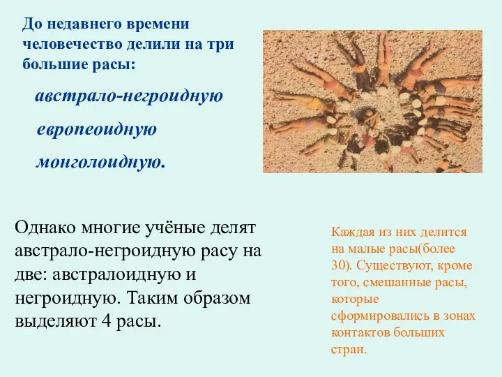 До недавнего времени человечество делили на три большие расы: австрало-негроидную европеоидную