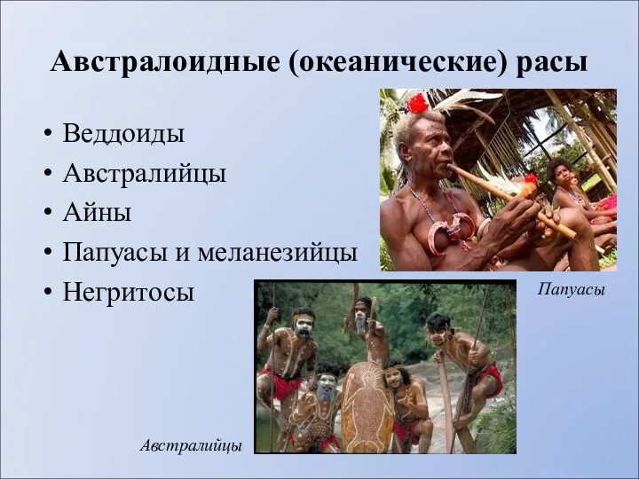 Австралоидные (океанические) расы Веддоиды Австралийцы Айны Папуасы и меланезийцы Негритосы Папуасы Австралийцы