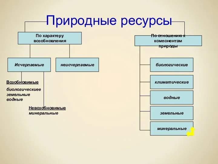 Природные ресурсы По характеру возобновления По отношению к компонентам природы Исчерпаемые