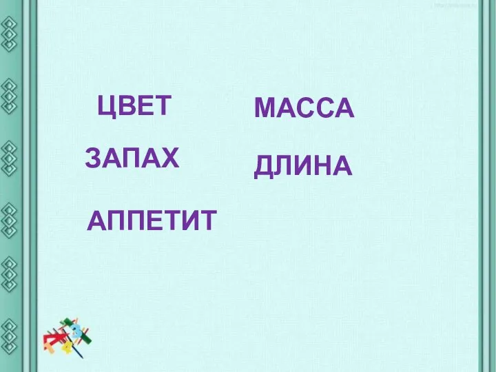 ЦВЕТ ЗАПАХ АППЕТИТ МАССА ДЛИНА