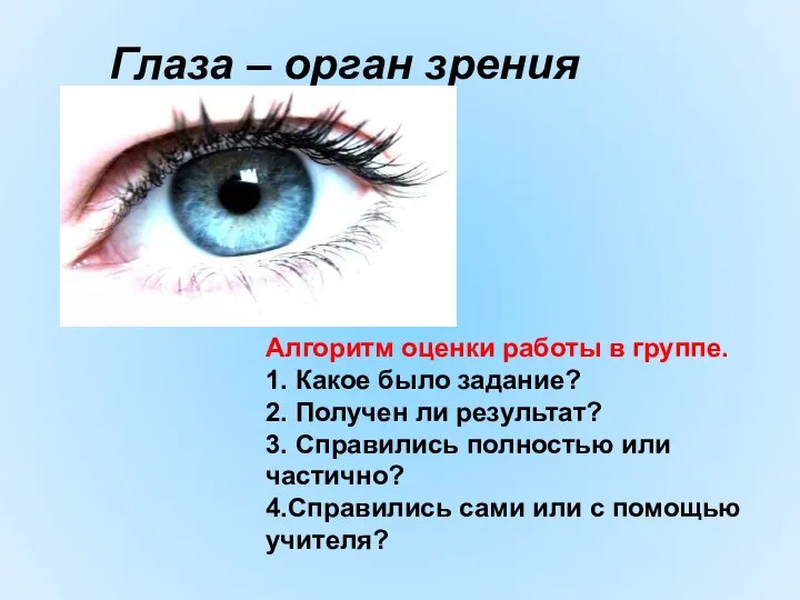 Глаза – орган зрения Алгоритм оценки работы в группе. 1. Какое