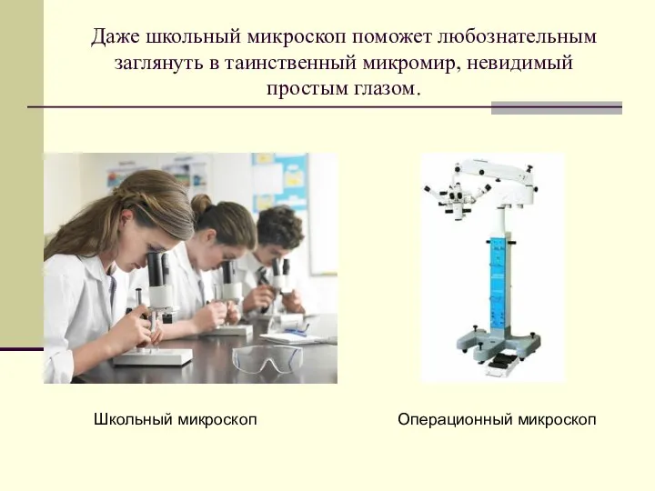 Даже школьный микроскоп поможет любознательным заглянуть в таинственный микромир, невидимый простым глазом. Операционный микроскоп Школьный микроскоп