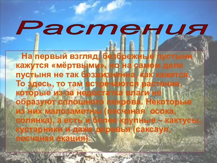 На первый взгляд, безбрежные пустыни кажутся «мёртвыми», но на самом деле