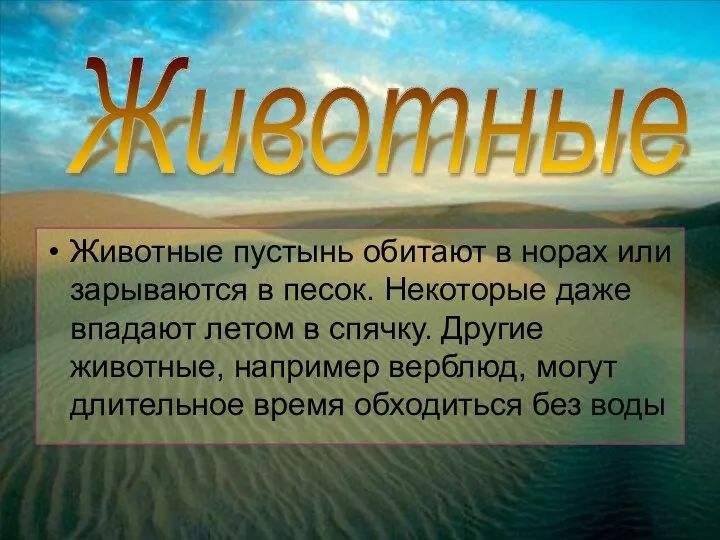 Животные пустынь обитают в норах или зарываются в песок. Некоторые даже