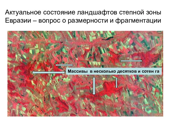 Актуальное состояние ландшафтов степной зоны Евразии – вопрос о размерности и